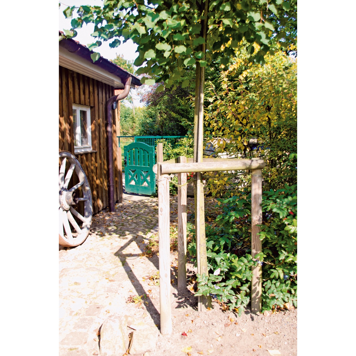 Baum mit T & J Baumpfahl/Holzpfosten Grün 6x100cm zur Stabilisierung im Garten.