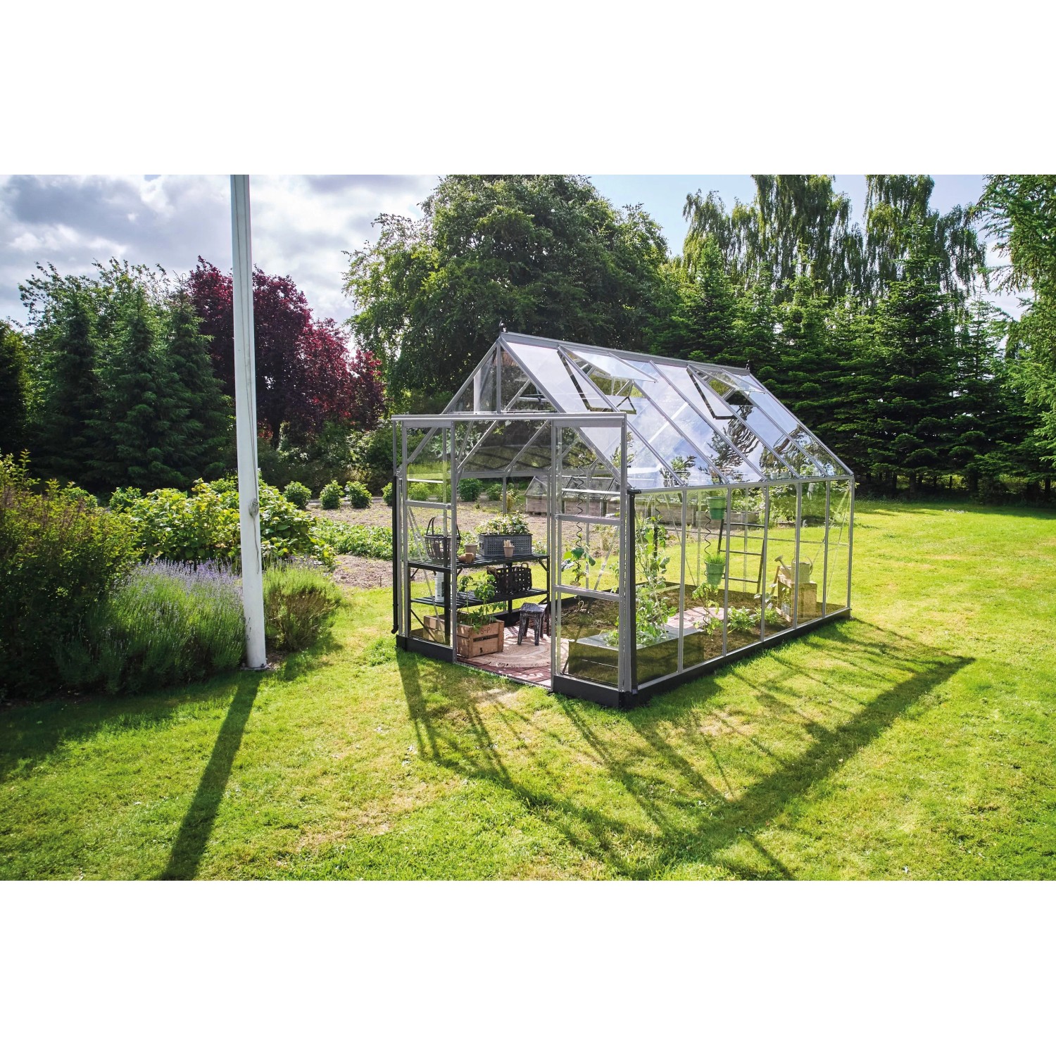 Halls Gewächshaus Icon 8 Alu 9,7 m² günstig online kaufen
