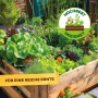 Hochbeet mit Gemüse und Solabiol Veggie Boost Dünger für reiche Ernte.