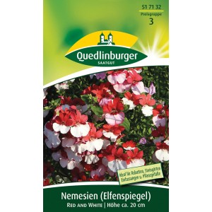 Quedlinburger Nemesie Elfenspiegel 'Red and White' Blumensamen mit rot-weißen Blüten.