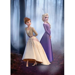 Disney Die Eiskönigin Poster (50x70cm) mit Anna und Elsa vor nebligem Wald, Multicolor.