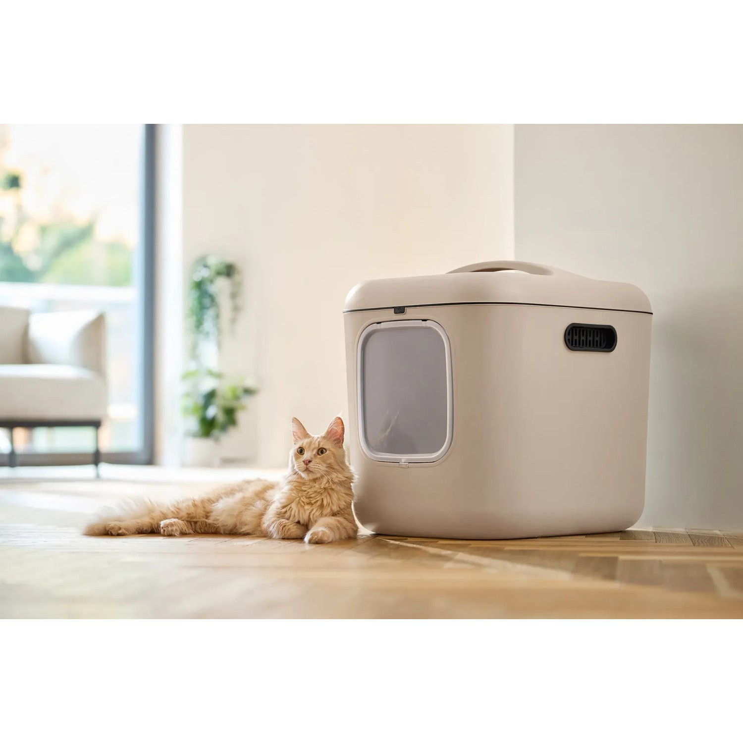 Rotho Katzentoilette Biala XL in Cappuccino mit Katze davor.