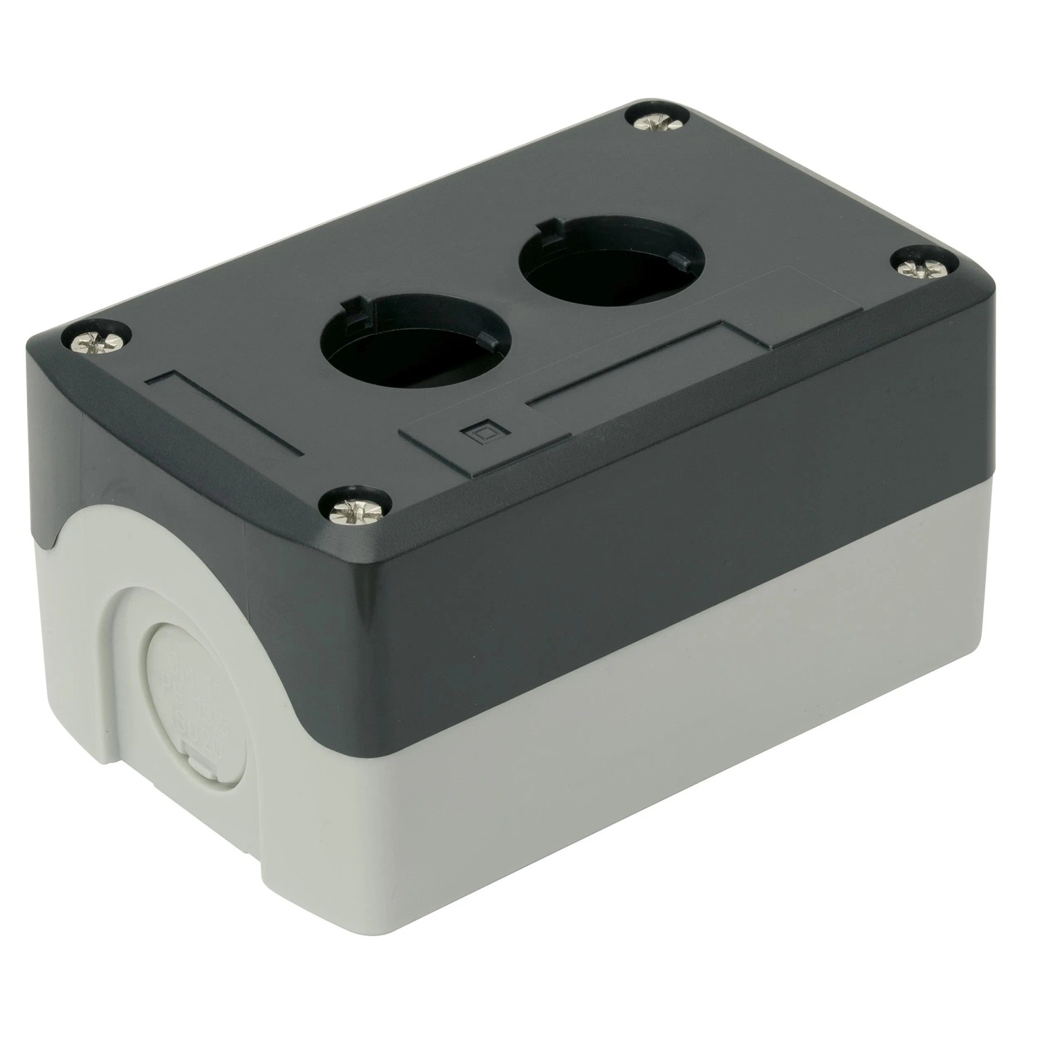 Blanko Schaltergehäuse Doppelt günstig online kaufen