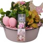Frühlingsarrangement im altrosa Zink-Gefäß mit Kalanchoe, Fittonie, Efeu und Deko-Eiern.
