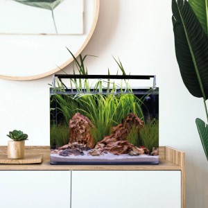 Dennerle Nano Aquarium Tank Basic 25 l mit Pflanzen, Steinen und LED-Beleuchtung auf einem weißen Schrank.