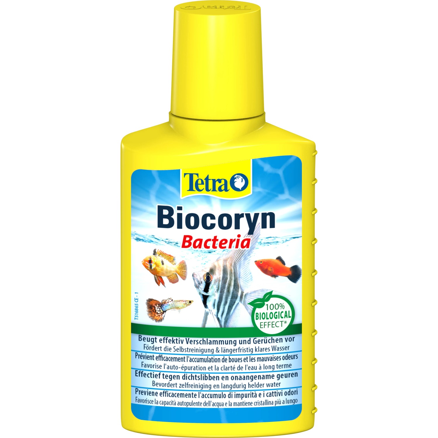 Tetra Biocoryn Wasseraufbereiter 100ml für Aquarien, reduziert Schlamm und Gerüche.
