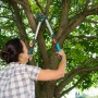 Frau schneidet Baum mit Gardena Astschere TeleCut 520-670 B. Gartenschere mit Teleskopstiel.