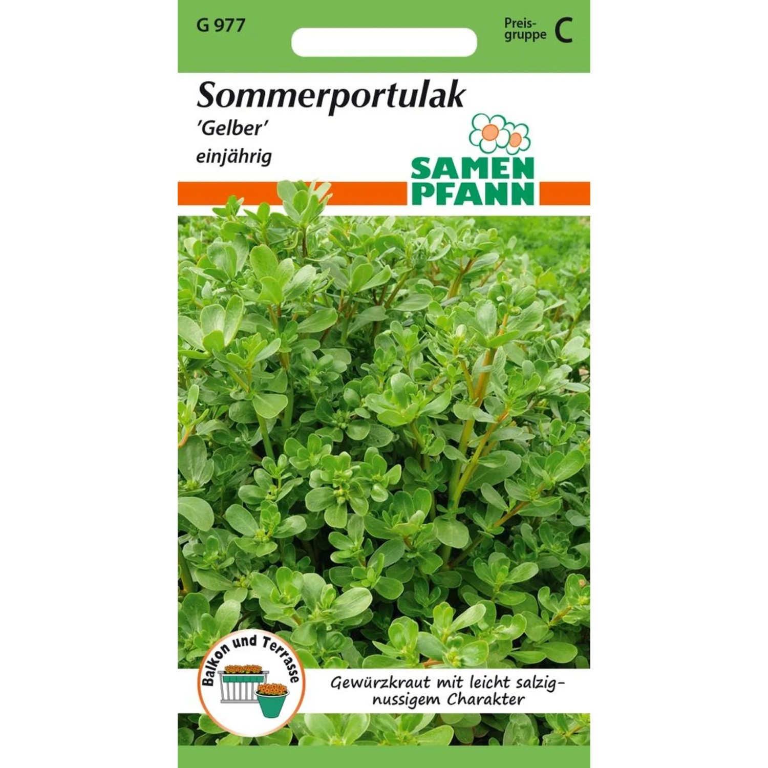 SAMEN PFANN Sommerportulak Gelber