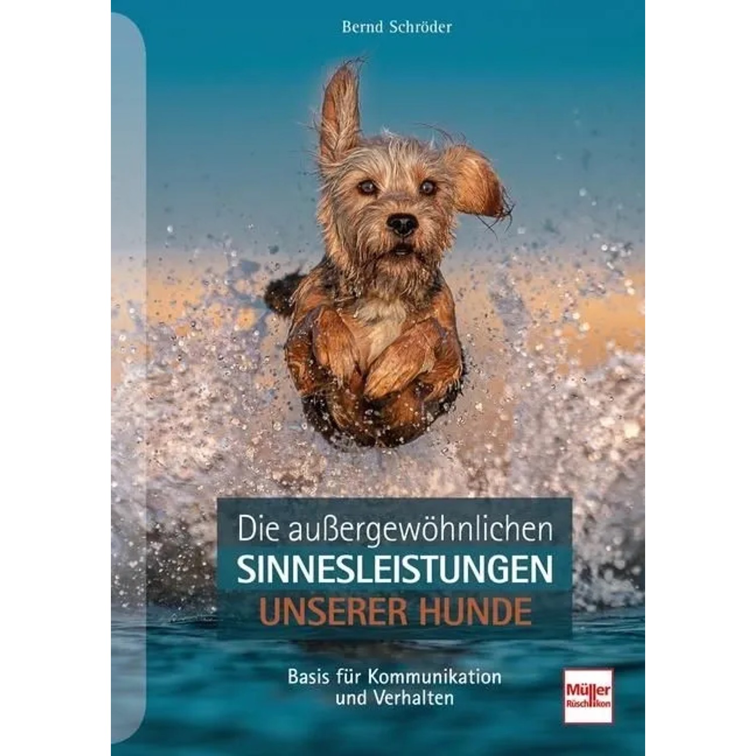 Die außergewöhnlichen Sinnesleistungen unserer Hunde