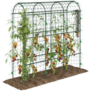 Grüne Outsunny Rankhilfe aus Stahl mit Kletterpflanzen und Tomaten im Garten.