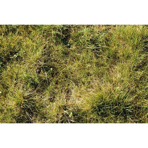 Nahaufnahme: Scherf Schotterrasen Vegetationstragdeckschicht, 0-16 mm. Ideal für begrünte Flächen.