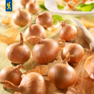 Kiepenkerl Rote Schalotten, Gr.7/14, 400 g