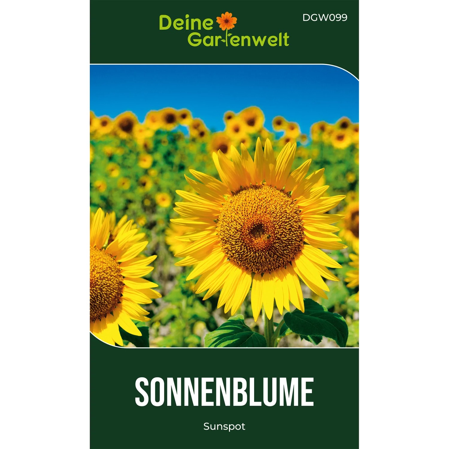 Deine Gartenwelt Zwergsonnenblume Sunspot Samen