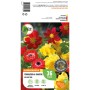 GROW by OBI Terrassen- und Garten-Kollektion Blumenzwiebeln mit roten und gelben Blüten.