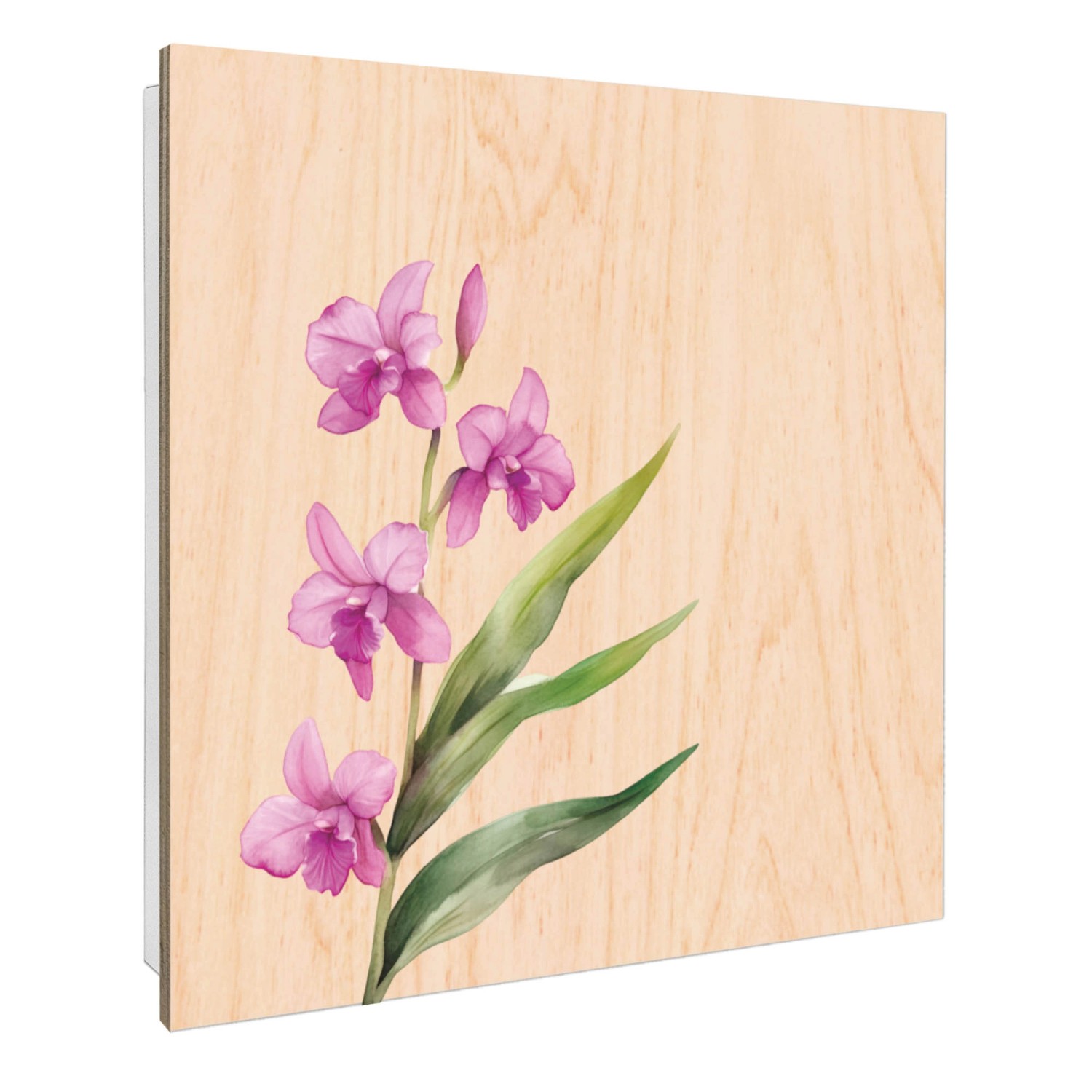 Banjado Schlüsselkasten mit Holzfront 30x30cm Weiß Scharnier Links 50 Haken günstig online kaufen
