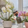 Gardena Pumpsprüher 0,75 l beim Besprühen von Orchideen im Haus.