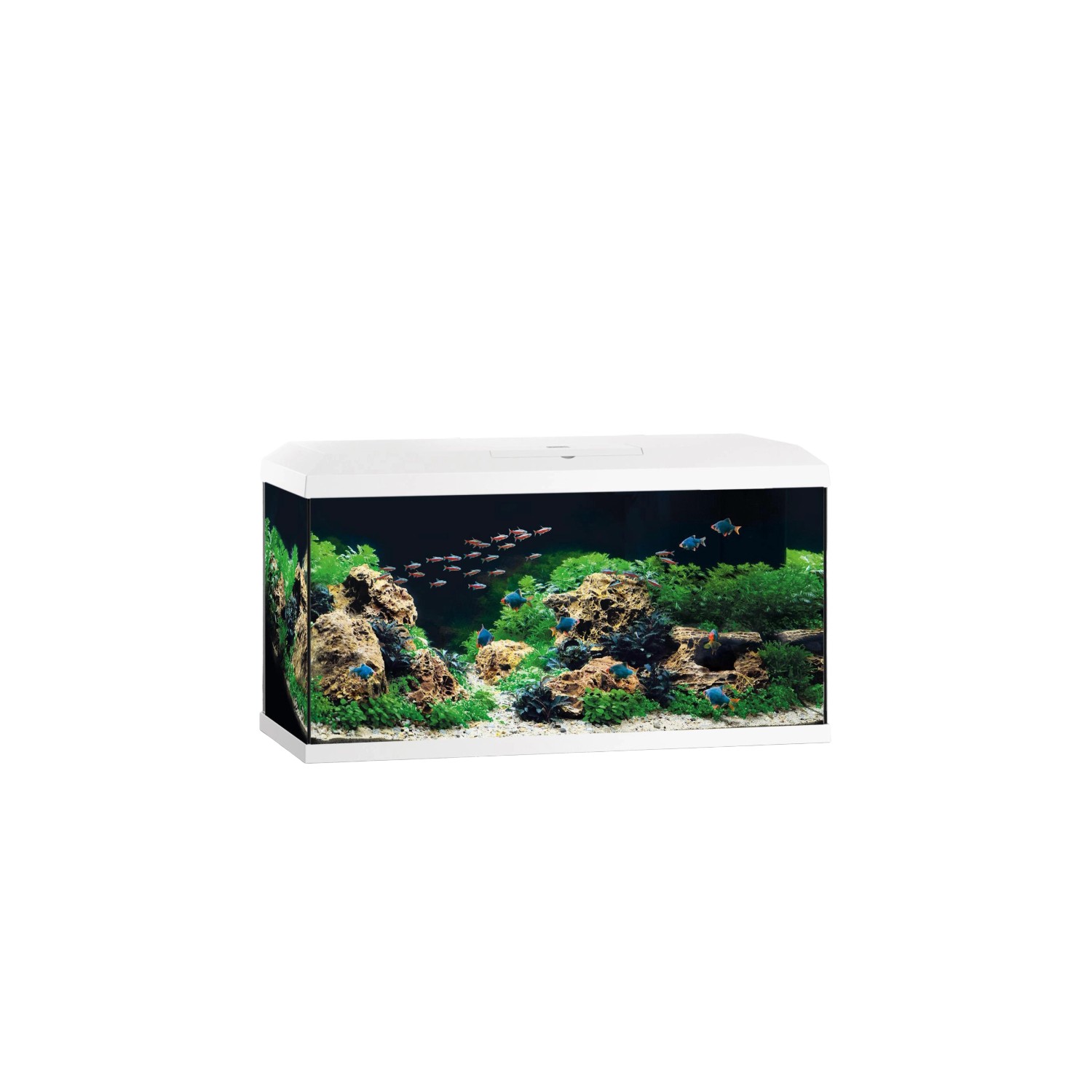 Juwel Aquarium-Set Primo 110 Weiß