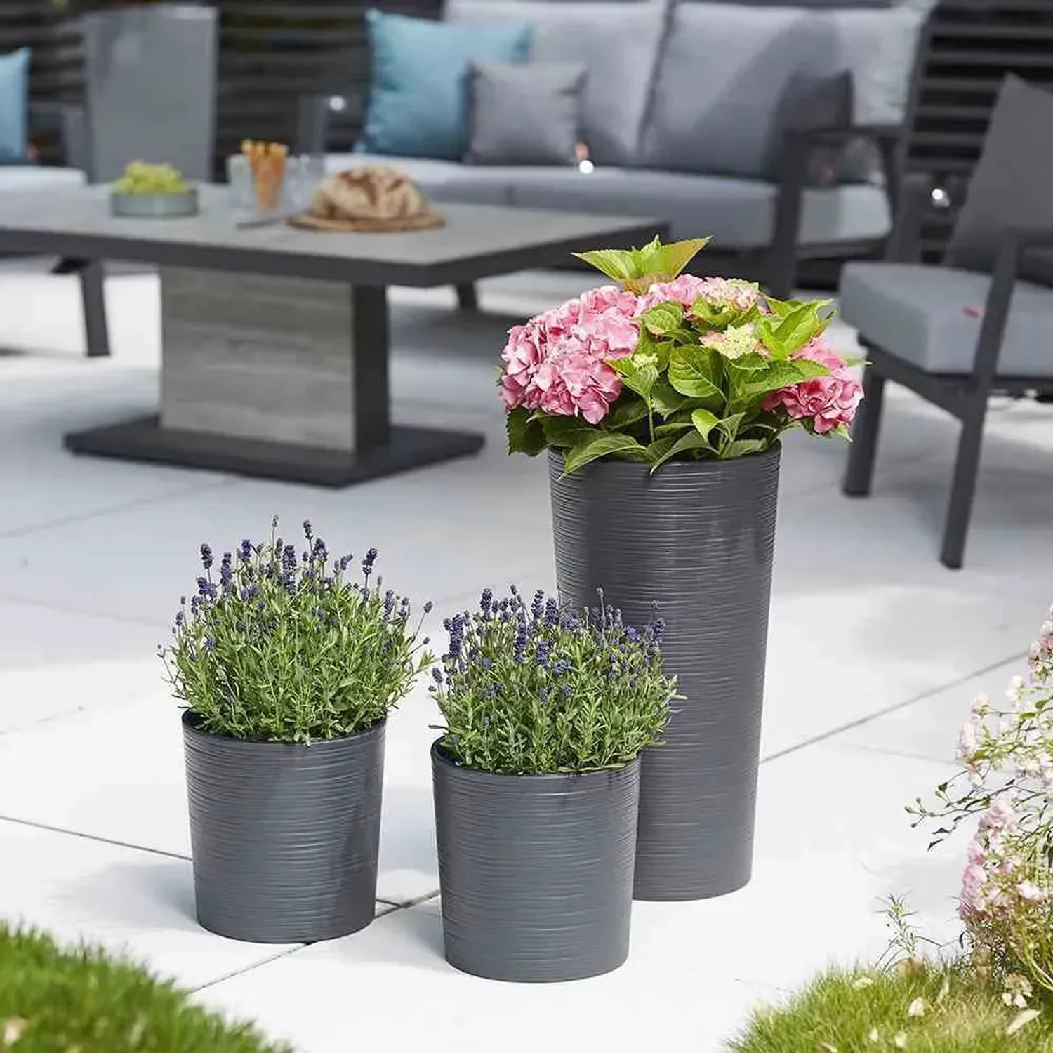 Siena Garden Pflanzsäule Locon Graphit, 3 Größen mit Pflanzen. Modernes Pflanzgefäß für Garten und Terrasse.