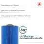 Canadian Spa Filterset für Acryl-Pools: Blauer Poolfilter mit Silberionen für sauberes Wasser.