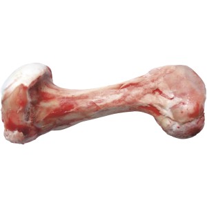 Dibo Kalbsröhrenknochen für Hunde, Barf- und Frostfutter, 1 Stück.