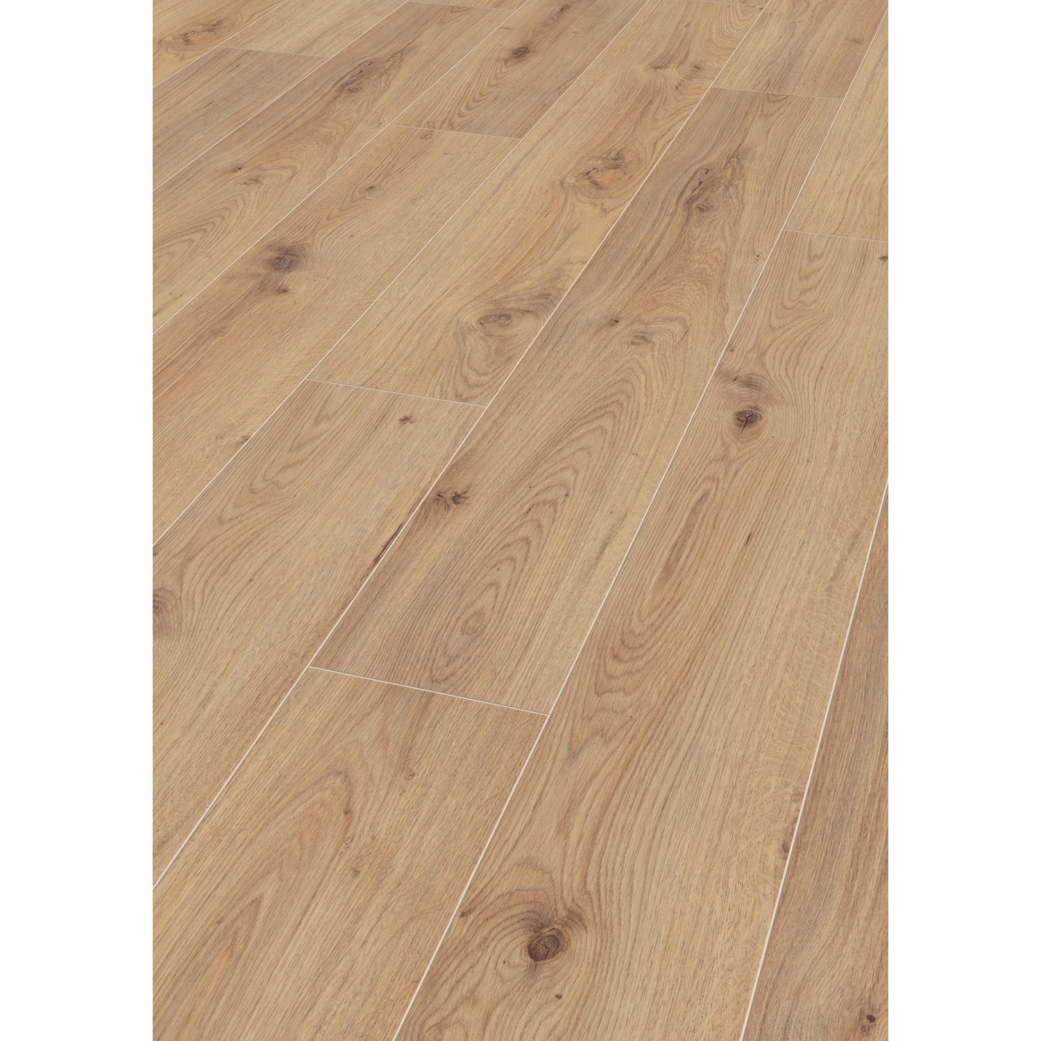 Jangal Laminatboden Oak State Park Line Plus Outamba günstig online kaufen