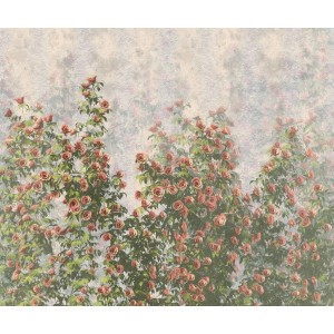 Komar Fototapete Wall Roses in Grün und Rosa, 300x250 cm. Wanddeko mit Rosen.