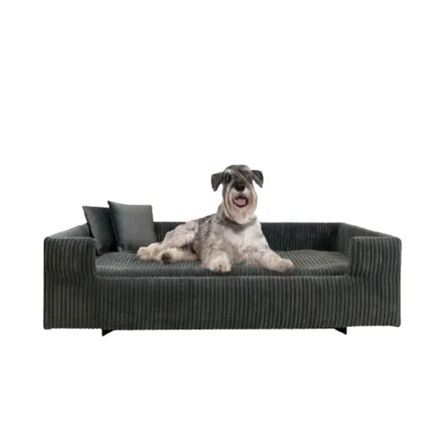 Graues Cord Hundesofa mit Hund. Gepolstertes, breites Hundebett mit abnehmbarem Bezug.