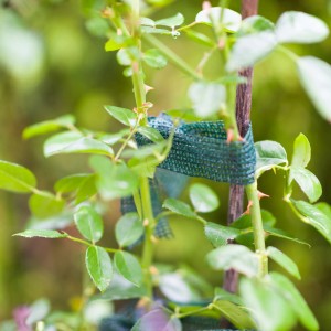 Windhager Baumanbinder fixiert jungen Baum am Stab. Zubehör für Hochbeete.