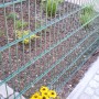 Grünes Doppelstabmattenzaun-Set (5 Stk.) im Garten mit Blumen. Stabiler Gartenzaun für vielseitige Anwendungen.
