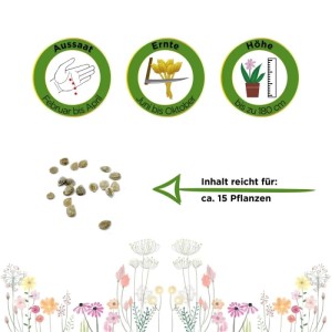 Fleischtomate Oxheart Ochsenherz Samen: Aussaat, Ernte, Höhe bis 180cm, Inhalt für 15 Pflanzen.