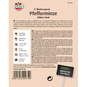 Samenpackung Sperli Pfefferminze Sperlis Pfeffi, mehrjährige Kräuter für Garten und Balkon.