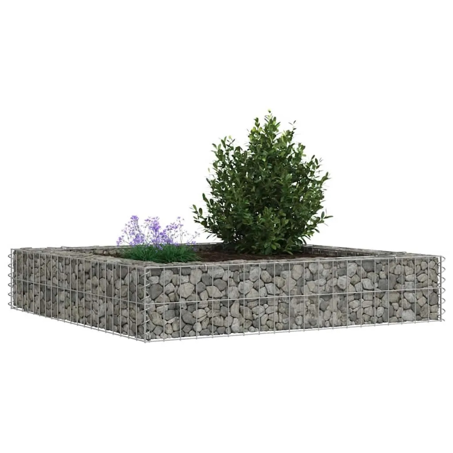 Furnicato Gabionen-Hochbeet aus verzinktem Stahl, 100x100x20 cm, befüllt mit Steinen und bepflanzt.