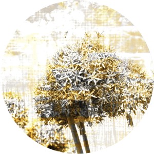 Selbstklebende, runde Tapete mit stilisierter Tulpe in Grau und Gelb, Durchmesser 140 cm.