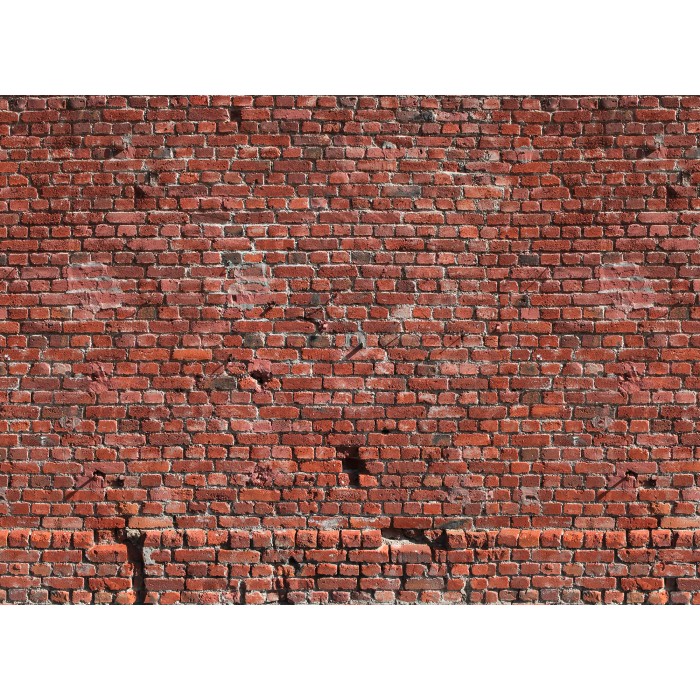 Steinwand kaufen bei OBI