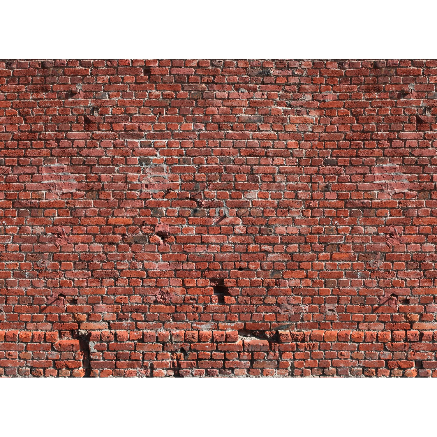 Fototapete Steinwand Klinker Industrial Vintage Rot 3,50 m x 2,55 m FSC®