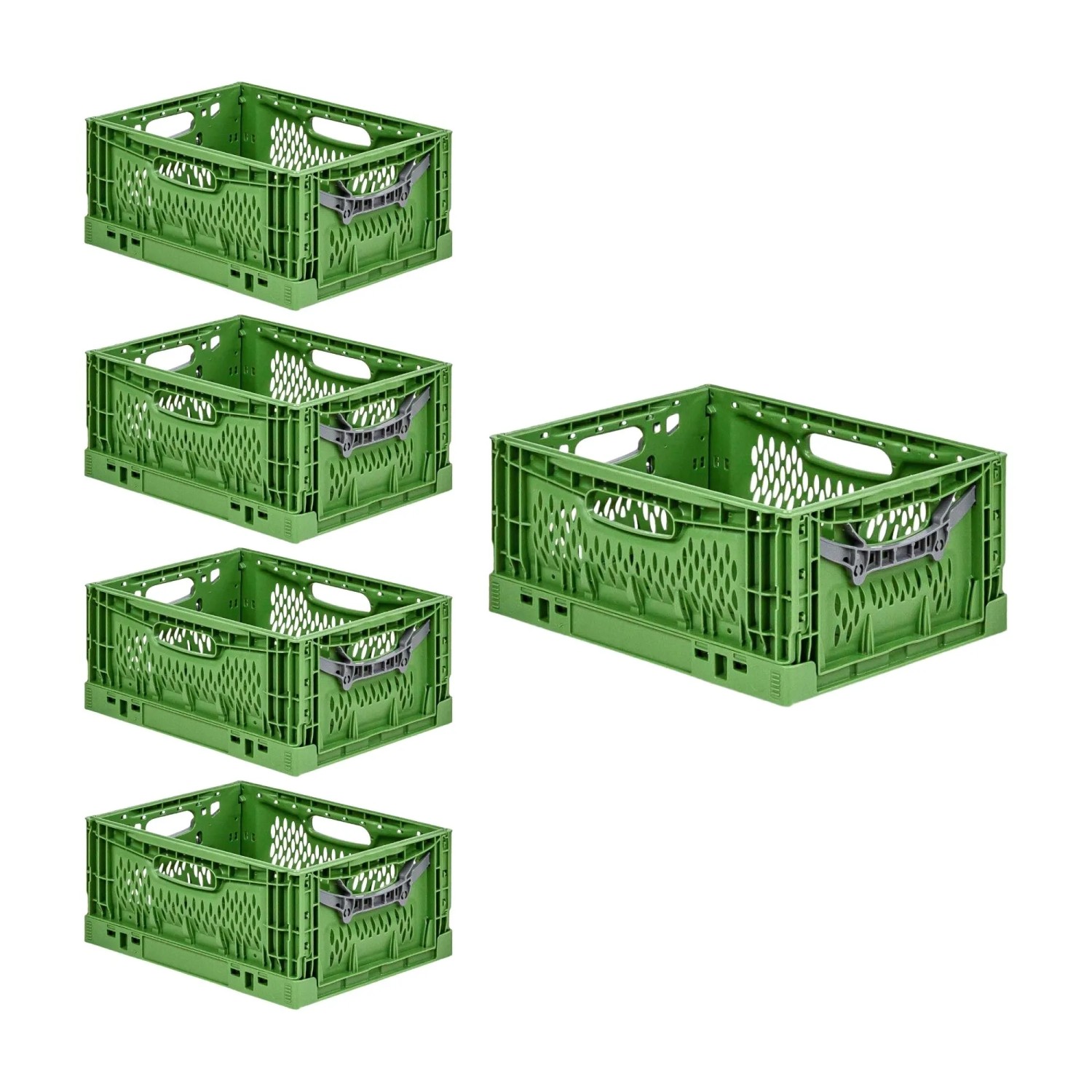Set aus 5 grünen PROREGAL Klappboxen, stapelbar und klappbar, ideal für Lagerung und Transport.