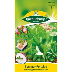 Quedlinburger Portulak-Samen: Einjährige, schnellwachsende Würzkräuter für Salate.