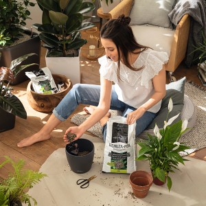 Frau bepflanzt Zimmerpflanze mit Lechuza-Pon Pflanzsubstrat (18L Sack).