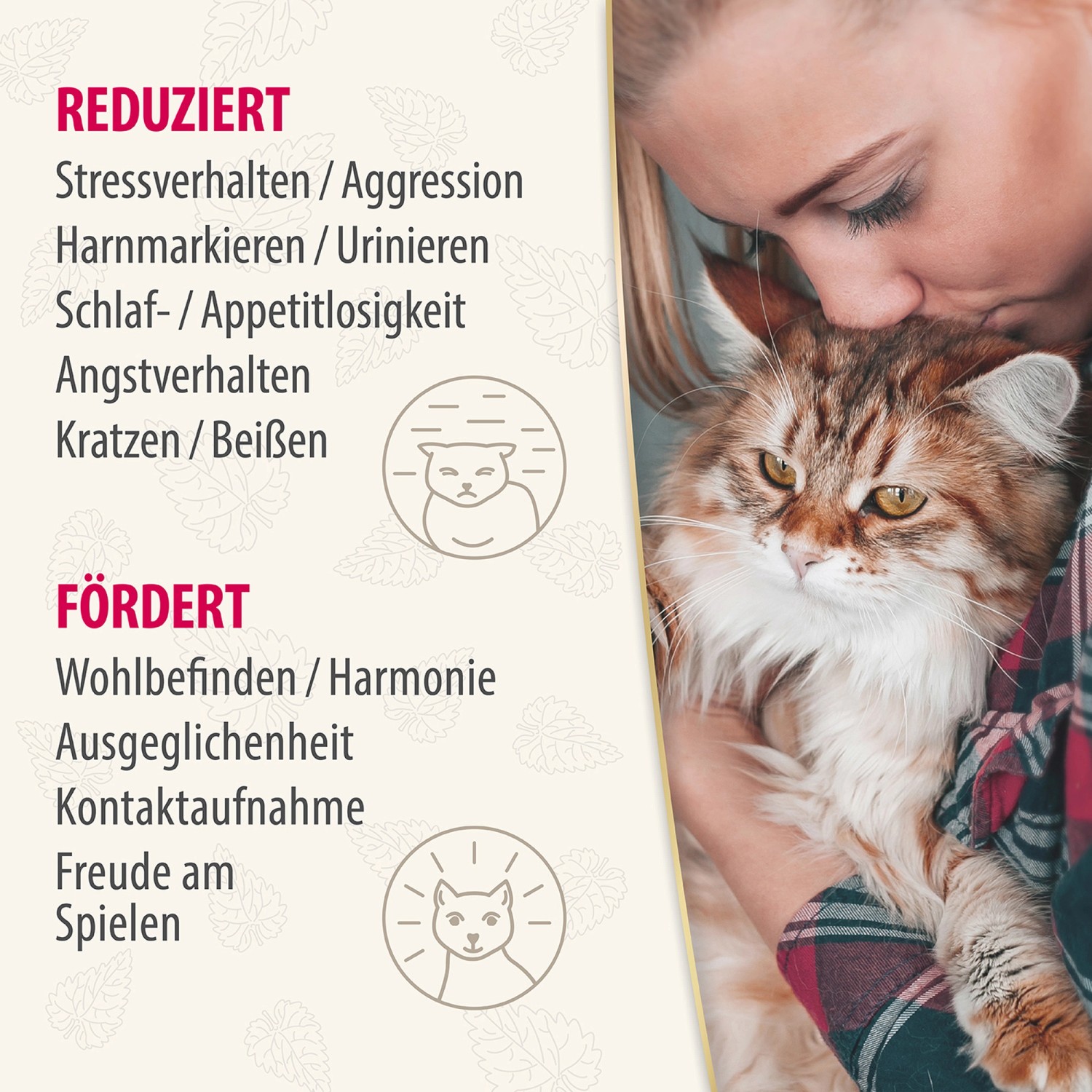 Frau küsst Katze, die im Arm liegt. Felisept Katzenspray hilft bei Stressverhalten.