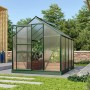 Vitavia Gewächshaus Venus 5000, grüne Aluminiumkonstruktion mit Pflanzen im Inneren.