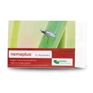 e-nema nemaplus: 3 Mio. SF-Nematoden gegen Trauermücken, biologischer Pflanzenschutz.