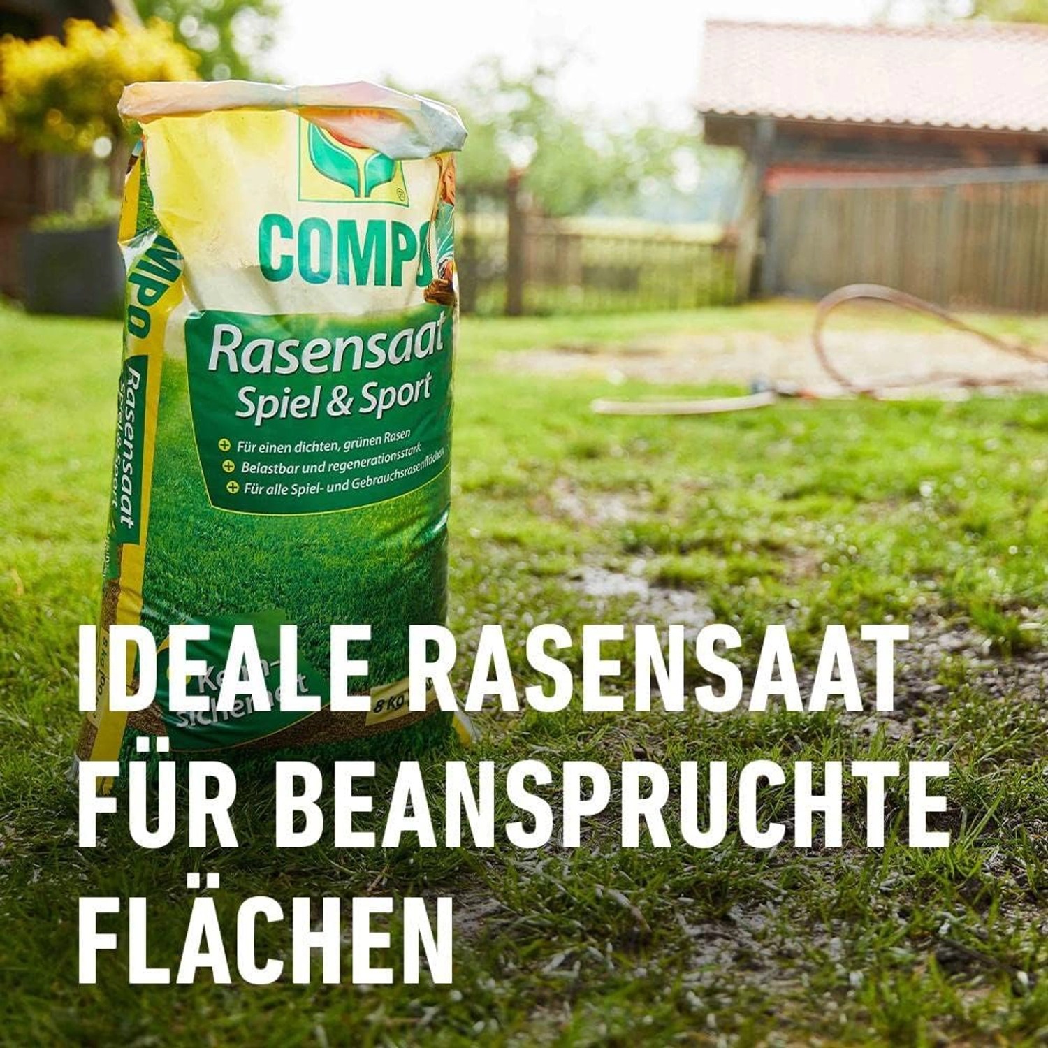 Compo Rasensamen Spiel & Sport 5 kg kaufen bei OBI