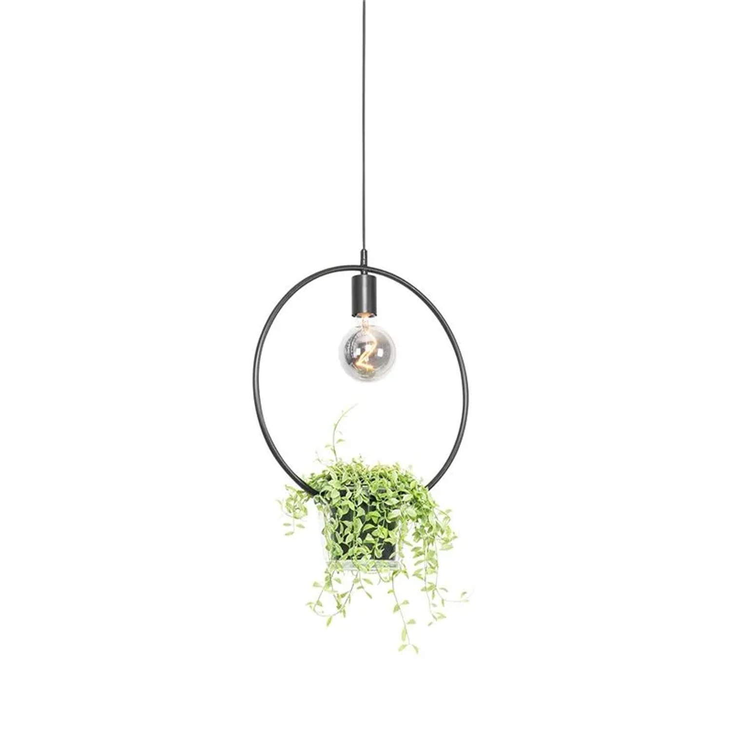 QAZQA Moderne Hängelampe Schwarz mit Glas Rund Roslini