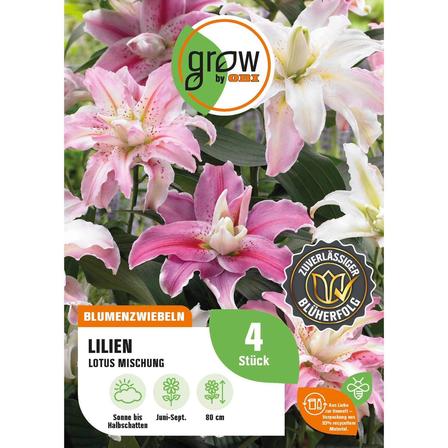 GROW by OBI Lilie Oriental Lotus Mischung Höhe ca. 80 cm günstig online kaufen