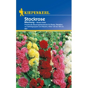 Mehrfarbige Kiepenkerl Stockrose "Mischung" als Blumensamen für den Garten.