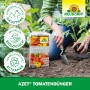 Neudorff Azet Tomatendünger 2,5kg: Frau pflanzt Tomate, Düngerpackung im Vordergrund. Biologisch und tierfreundlich.
