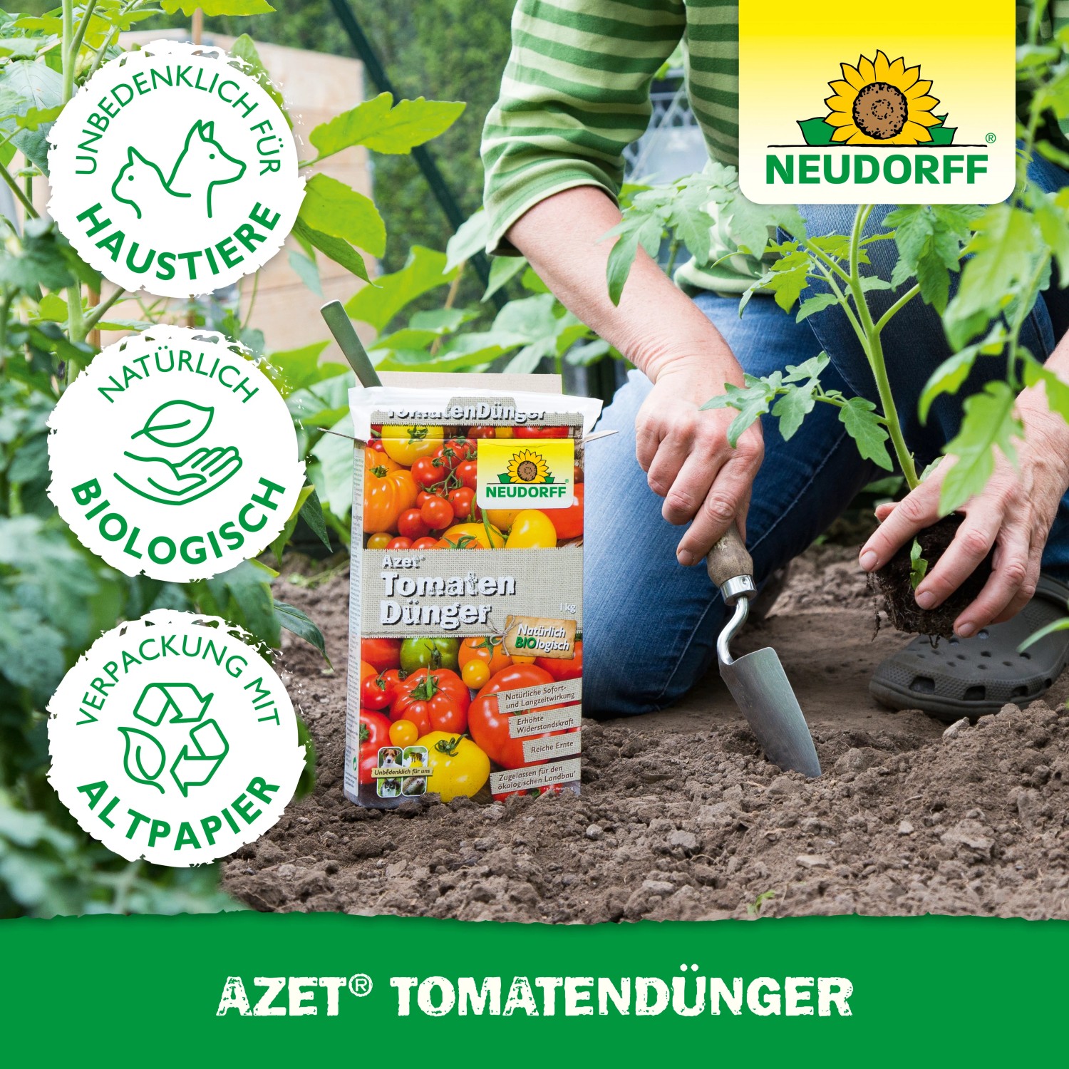 Neudorff Azet Tomatendünger 2,5kg: Frau pflanzt Tomate, Düngerpackung im Vordergrund. Biologisch und tierfreundlich.