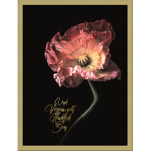 Gerahmtes Bild Anonymus Beautiful & Gold IV, 42,5x32,5 cm, Mohnblume mit goldenem Schriftzug.