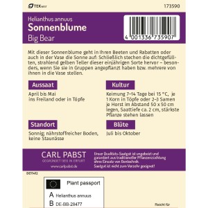 Pabst Keimkraft Sonnenblume Big Bear Saatgutpackung mit Infos zu Aussaat und Blütezeit.