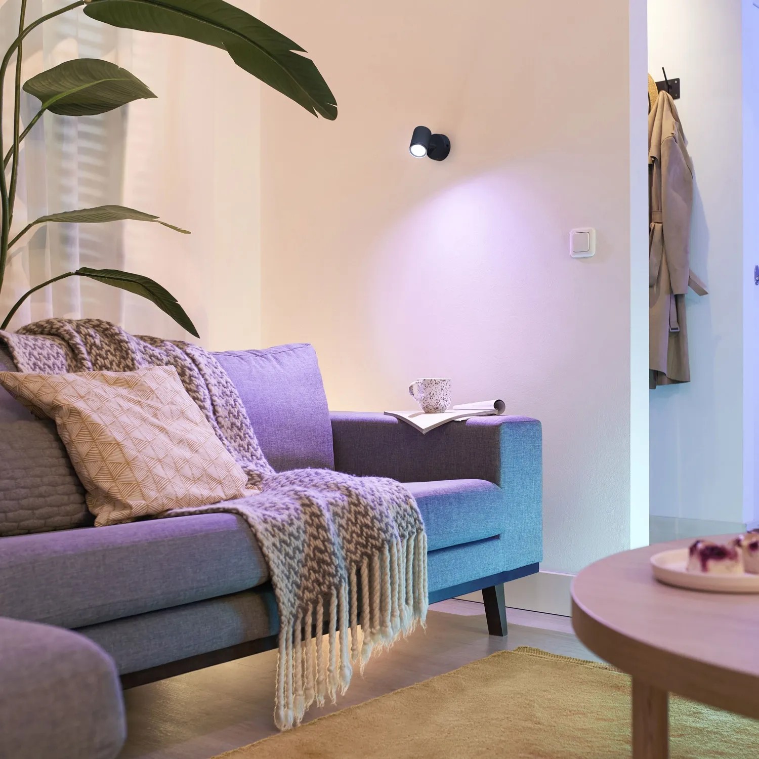 WIZ LED-Deckenleuchte Imageo, 1er-Spot, Schwarz, im Wohnraum mit farbiger Beleuchtung.